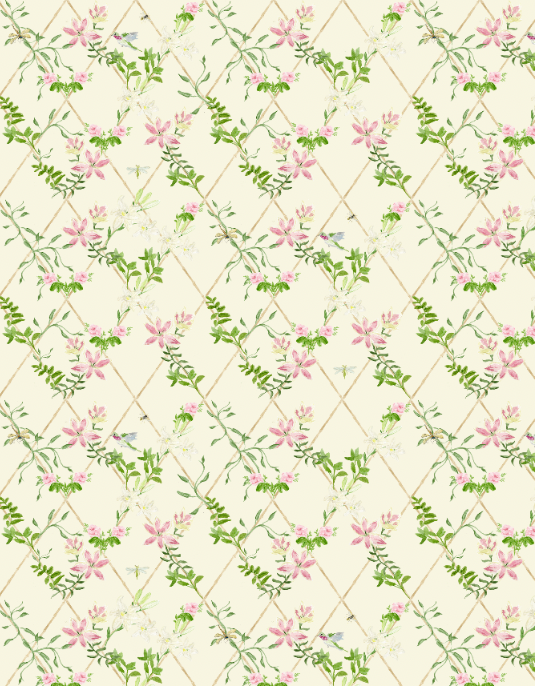 Humming Bird Wallpaper