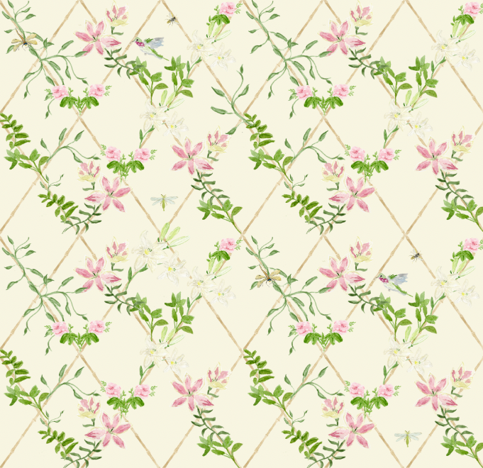 Humming Bird Wallpaper