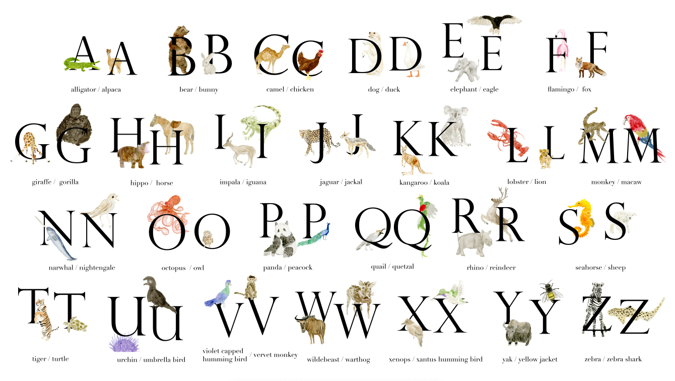 Animal & Animal Letter Baby Blanket