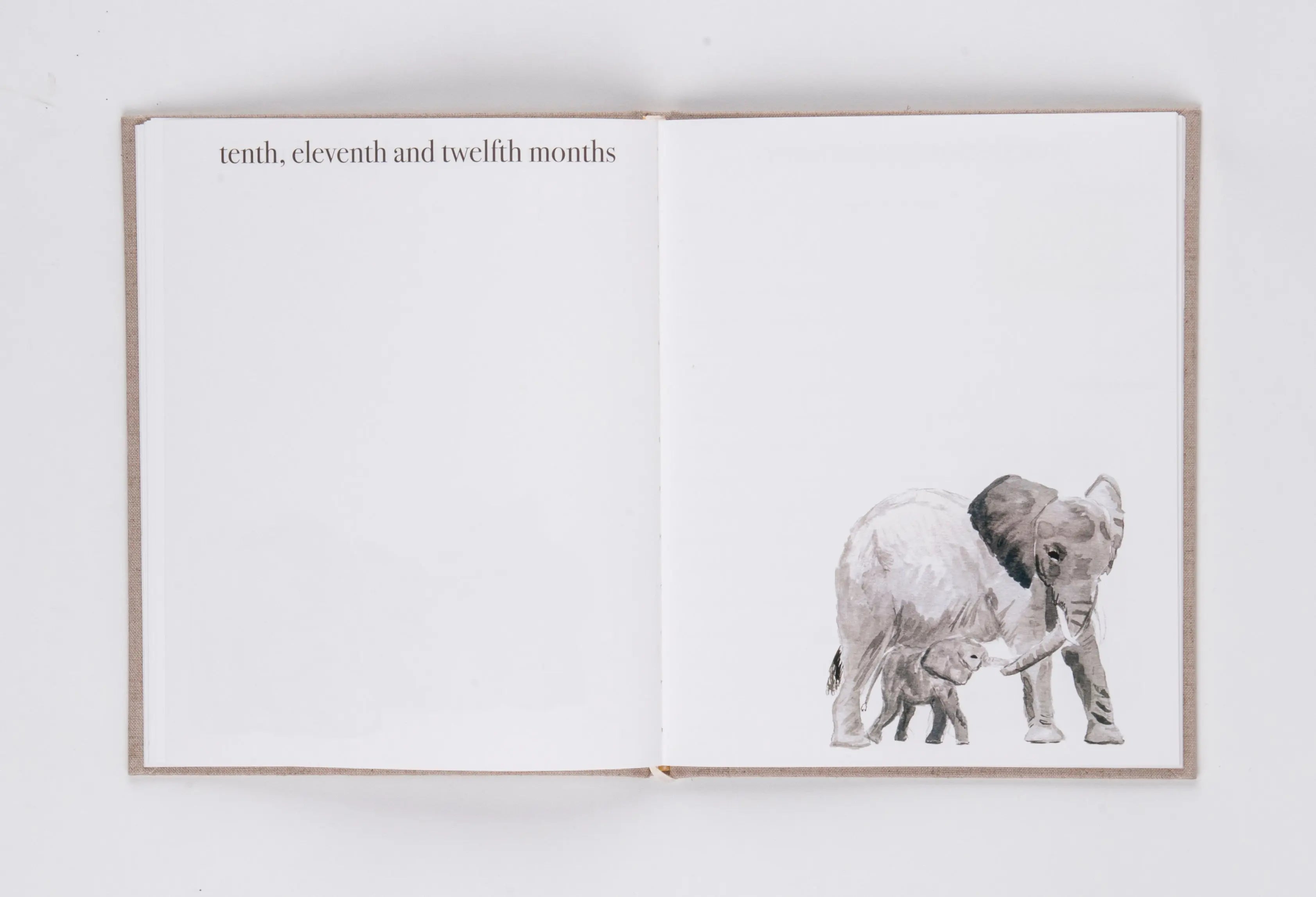 Baby Book Peeps Paper Products