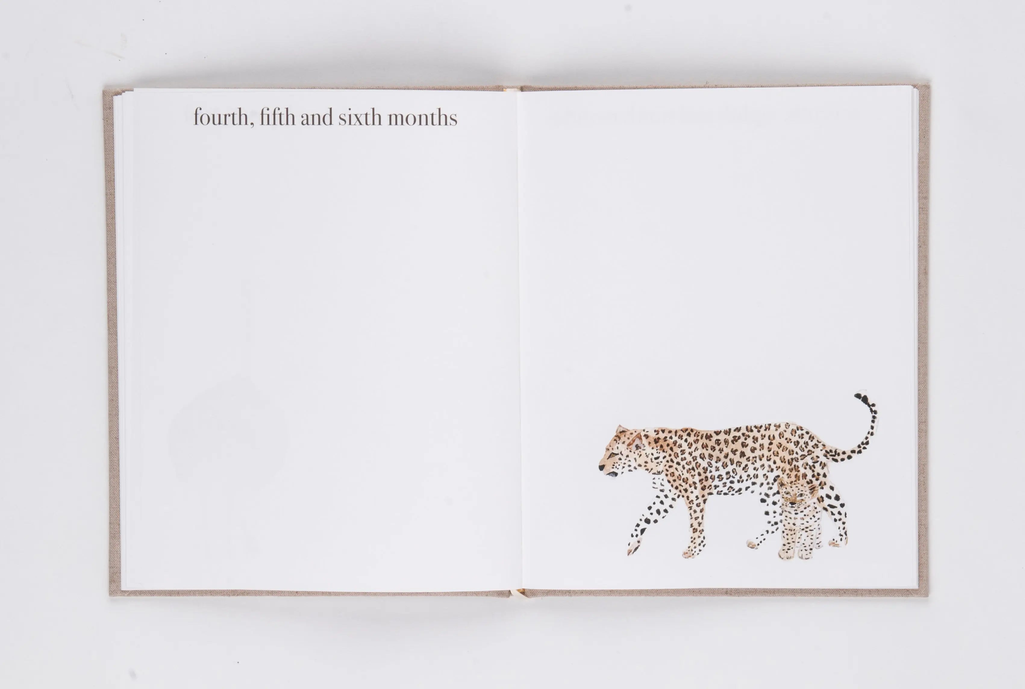 Baby Book Peeps Paper Products