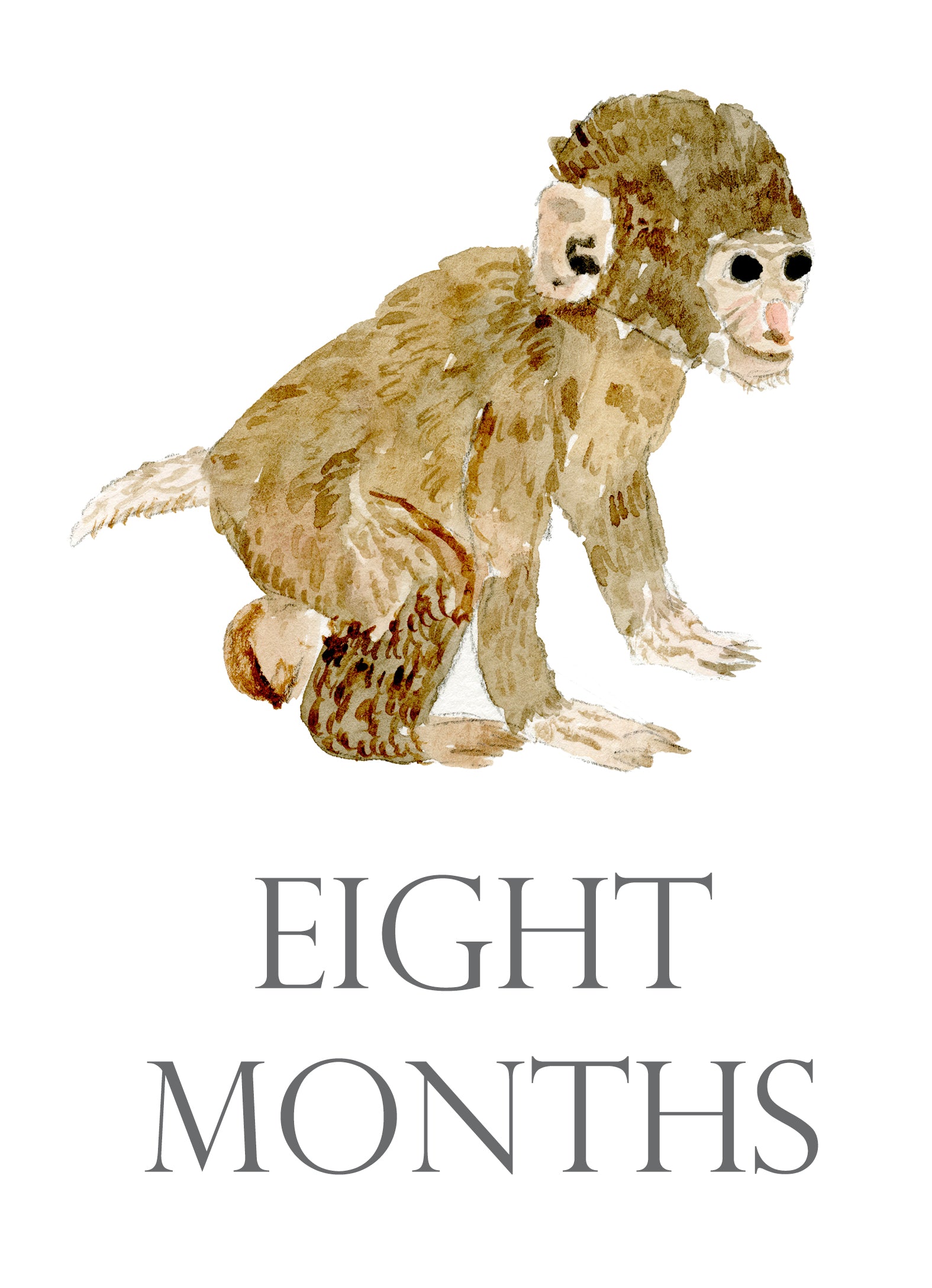 Baby Month Cards