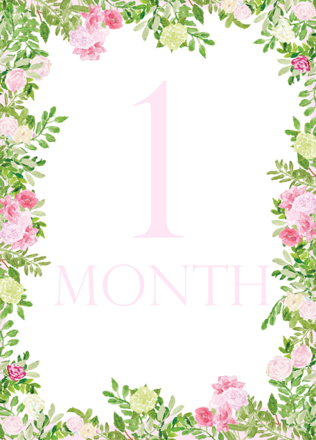 Floral Month Cards