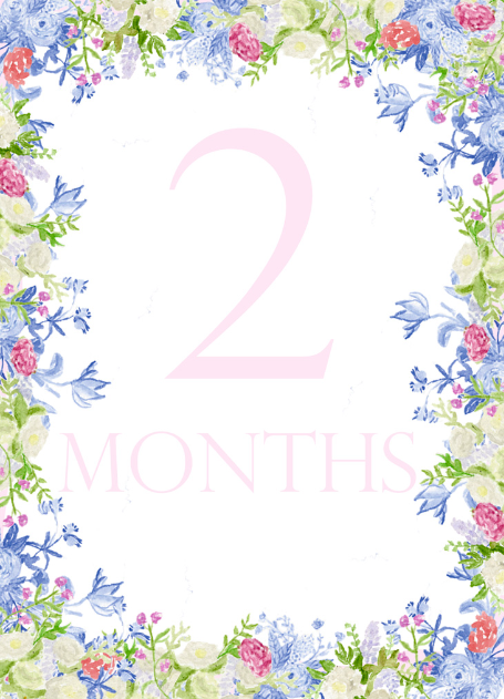 Floral Month Cards