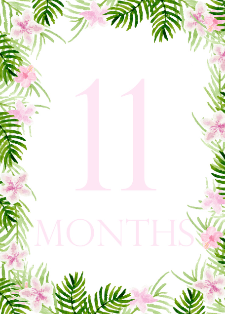 Floral Month Cards