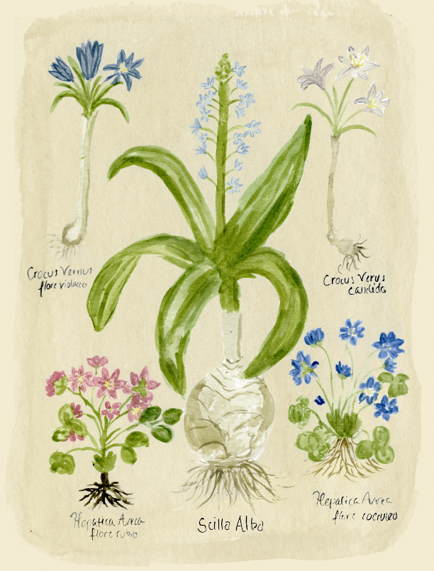 The March Flower Print