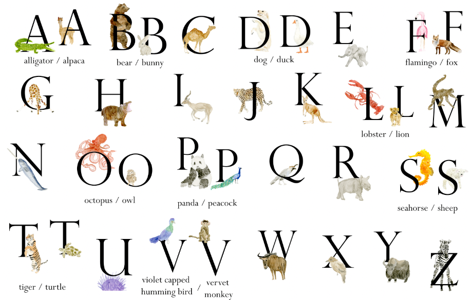 Animal & Animal Letter Baby Blanket