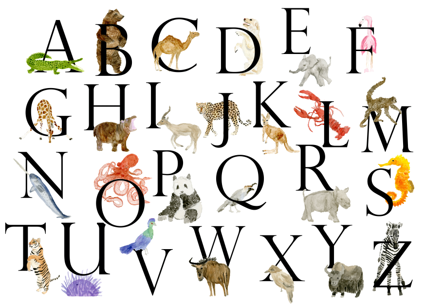 Animal Alphabet Print