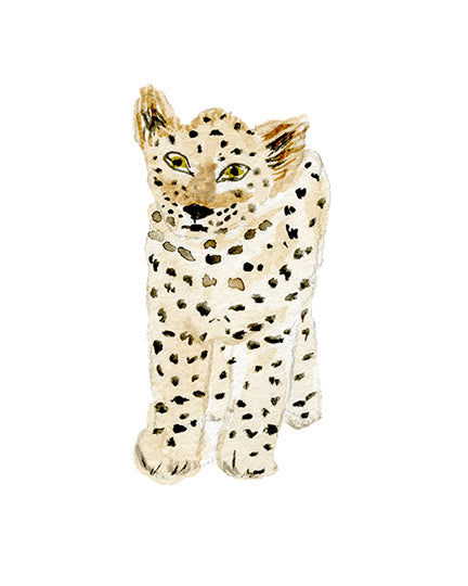 Baby Leopard Print