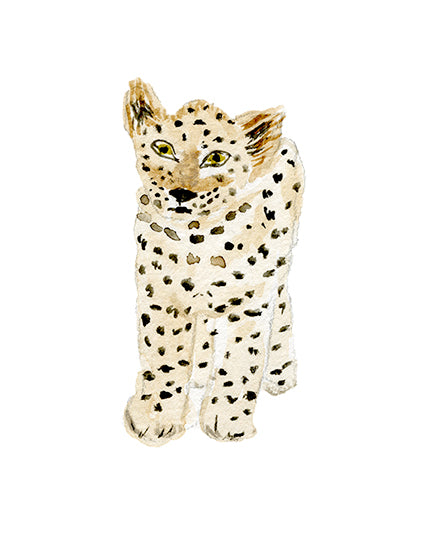 Baby Leopard Print