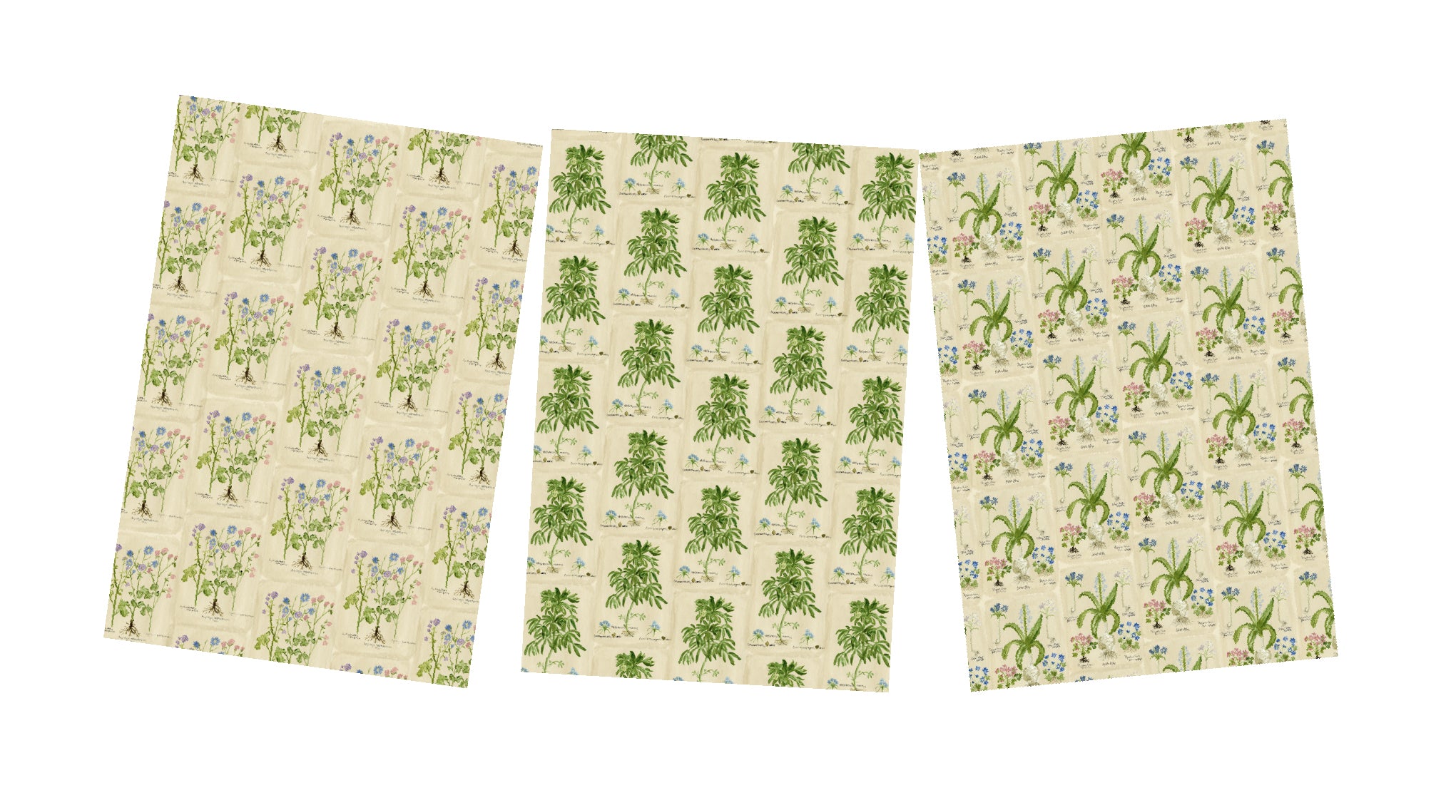 Botanical Wrapping store Paper