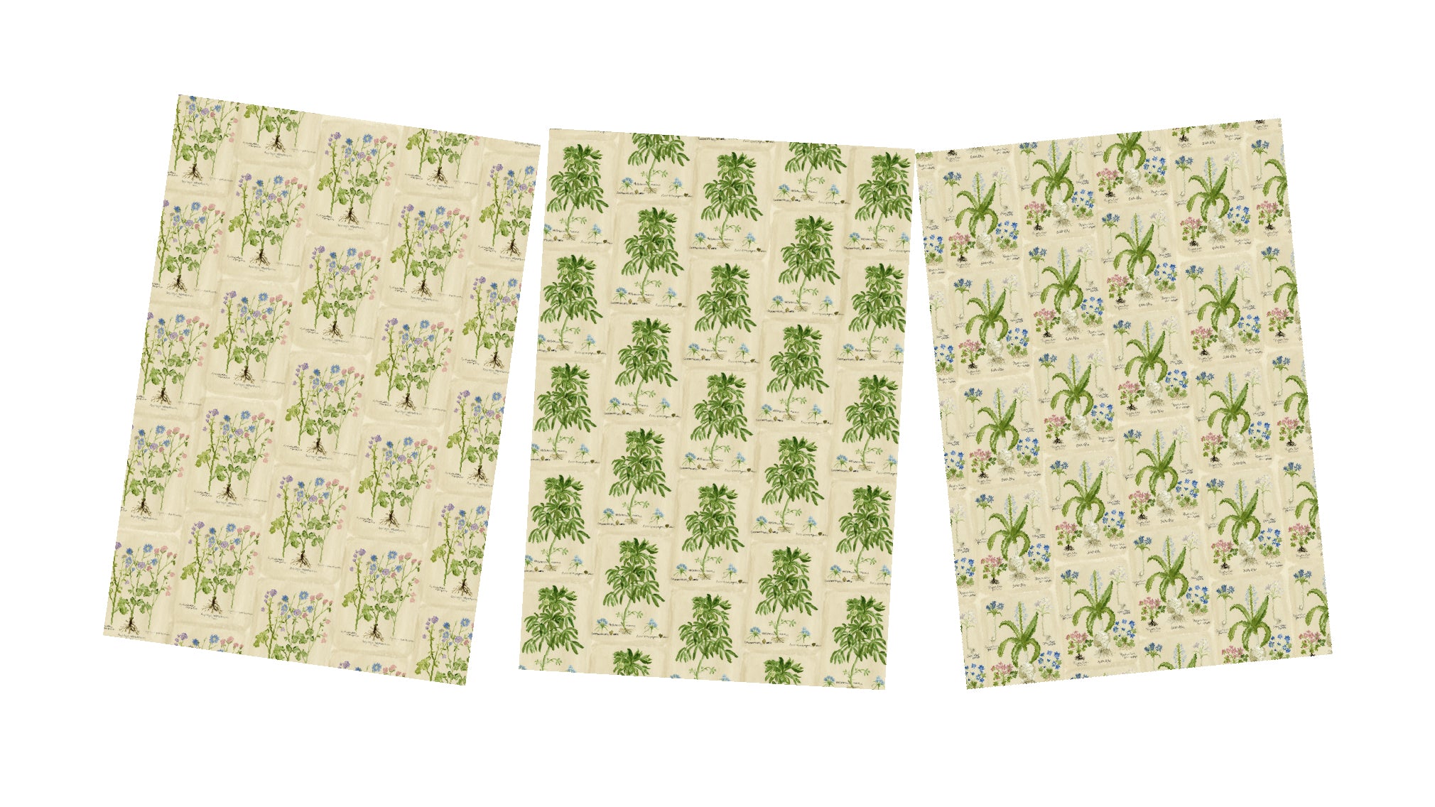 Botanical Gift Wrap Collection