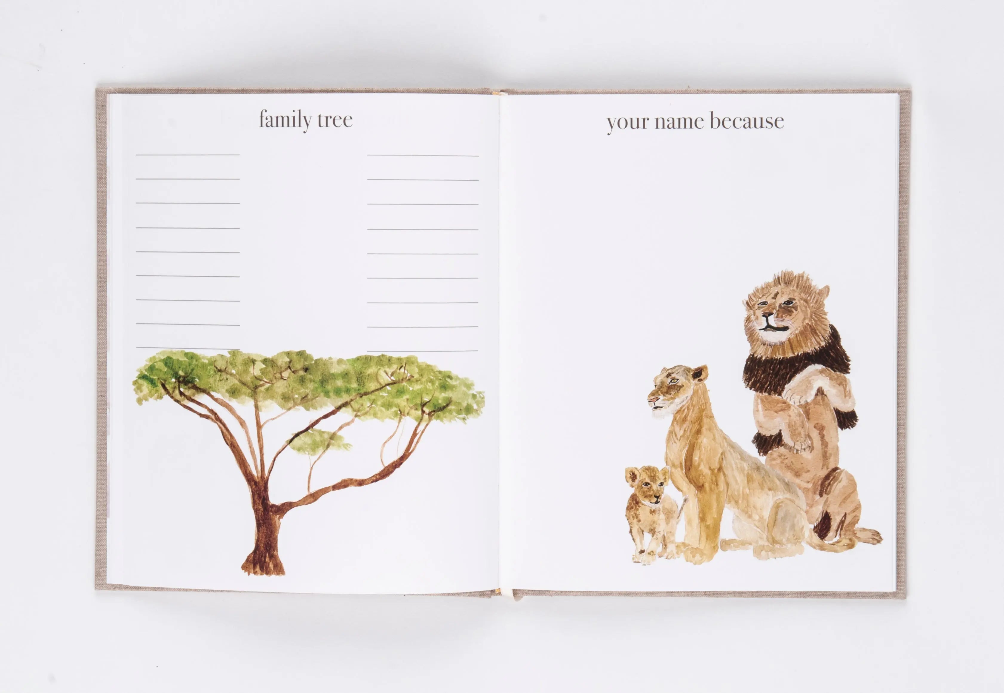 Baby Book Peeps Paper Products