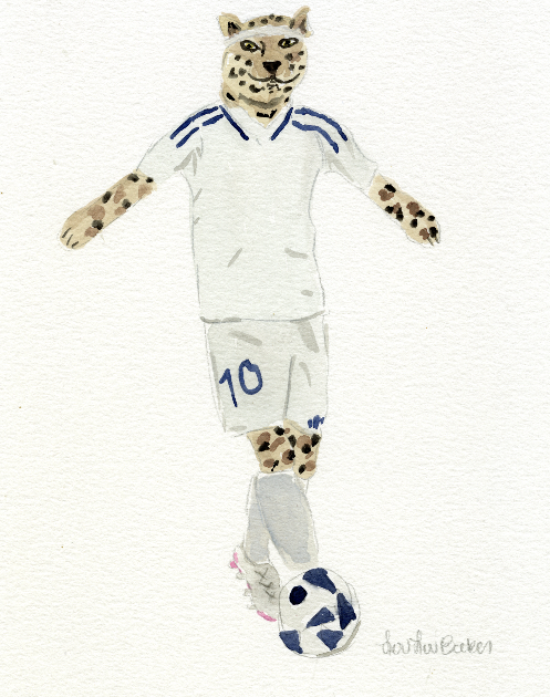 Cheetah Soccer Player