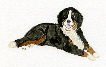 Custom Dog Portrait Gift Set