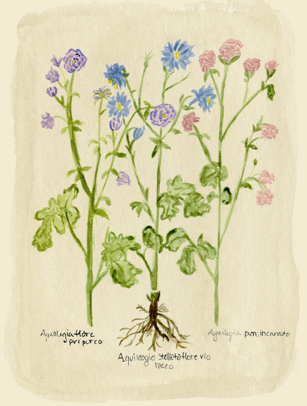 The April Flower Print
