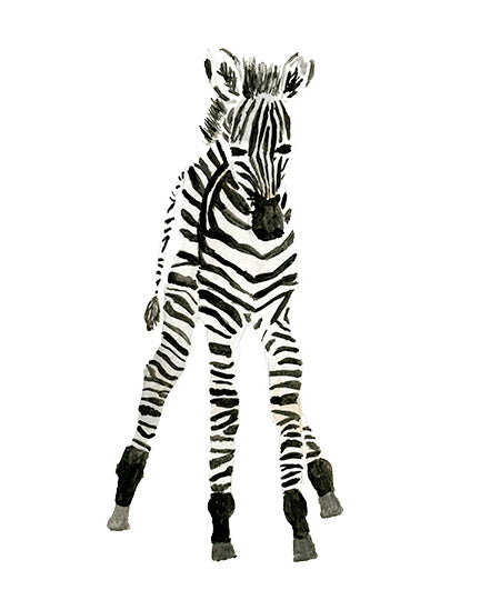 Baby Zebra Print